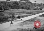 Image of Allied NE-1 aircraft Okinawa Ryukyu Islands, 1945, second 51 stock footage video 65675042093