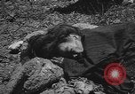 Image of United States Navy Corpsmen Okinawa Ryukyu Islands, 1945, second 45 stock footage video 65675042094