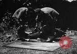 Image of United States Navy Corpsmen Okinawa Ryukyu Islands, 1945, second 54 stock footage video 65675042094