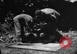 Image of United States Navy Corpsmen Okinawa Ryukyu Islands, 1945, second 58 stock footage video 65675042094