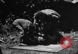 Image of United States Navy Corpsmen Okinawa Ryukyu Islands, 1945, second 62 stock footage video 65675042094