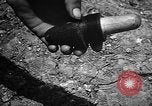 Image of Japanese shell case Okinawa Ryukyu Islands, 1945, second 52 stock footage video 65675042096