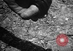 Image of Japanese shell case Okinawa Ryukyu Islands, 1945, second 55 stock footage video 65675042096