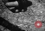 Image of Japanese shell case Okinawa Ryukyu Islands, 1945, second 56 stock footage video 65675042096