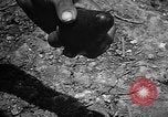 Image of Japanese shell case Okinawa Ryukyu Islands, 1945, second 58 stock footage video 65675042096