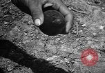 Image of Japanese shell case Okinawa Ryukyu Islands, 1945, second 59 stock footage video 65675042096
