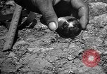 Image of Japanese shell case Okinawa Ryukyu Islands, 1945, second 62 stock footage video 65675042096