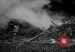 Image of Marine interpreter Okinawa Ryukyu Islands, 1945, second 3 stock footage video 65675042097