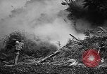 Image of Marine interpreter Okinawa Ryukyu Islands, 1945, second 8 stock footage video 65675042097