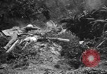 Image of Marine interpreter Okinawa Ryukyu Islands, 1945, second 10 stock footage video 65675042097