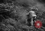 Image of Marine interpreter Okinawa Ryukyu Islands, 1945, second 15 stock footage video 65675042097
