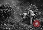 Image of Marine interpreter Okinawa Ryukyu Islands, 1945, second 16 stock footage video 65675042097