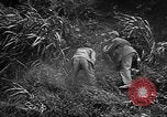Image of Marine interpreter Okinawa Ryukyu Islands, 1945, second 19 stock footage video 65675042097