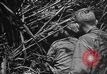 Image of Marine interpreter Okinawa Ryukyu Islands, 1945, second 26 stock footage video 65675042097