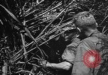 Image of Marine interpreter Okinawa Ryukyu Islands, 1945, second 27 stock footage video 65675042097