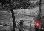 Image of machine gun squad Okinawa Ryukyu Islands, 1945, second 50 stock footage video 65675042098