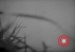 Image of United States 6th marine division Okinawa Ryukyu Islands, 1945, second 18 stock footage video 65675042099