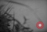 Image of United States 6th marine division Okinawa Ryukyu Islands, 1945, second 21 stock footage video 65675042099