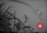 Image of United States 6th marine division Okinawa Ryukyu Islands, 1945, second 22 stock footage video 65675042099