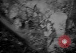 Image of United States 6th marine division Okinawa Ryukyu Islands, 1945, second 23 stock footage video 65675042099
