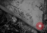 Image of United States 6th marine division Okinawa Ryukyu Islands, 1945, second 24 stock footage video 65675042099