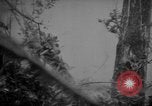 Image of United States 6th marine division Okinawa Ryukyu Islands, 1945, second 25 stock footage video 65675042099