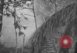 Image of United States 6th marine division Okinawa Ryukyu Islands, 1945, second 28 stock footage video 65675042099