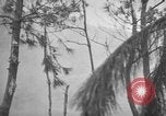 Image of United States 6th marine division Okinawa Ryukyu Islands, 1945, second 32 stock footage video 65675042099