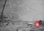 Image of United States 6th marine division Okinawa Ryukyu Islands, 1945, second 37 stock footage video 65675042099