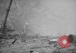 Image of United States 6th marine division Okinawa Ryukyu Islands, 1945, second 38 stock footage video 65675042099