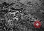 Image of Japanese civilians Okinawa Ryukyu Islands, 1945, second 14 stock footage video 65675042106