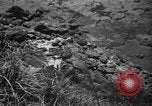 Image of Japanese civilians Okinawa Ryukyu Islands, 1945, second 15 stock footage video 65675042106
