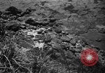 Image of Japanese civilians Okinawa Ryukyu Islands, 1945, second 16 stock footage video 65675042106