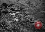 Image of Japanese civilians Okinawa Ryukyu Islands, 1945, second 17 stock footage video 65675042106
