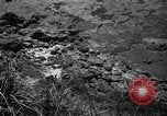 Image of Japanese civilians Okinawa Ryukyu Islands, 1945, second 20 stock footage video 65675042106