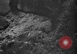Image of Japanese civilians Okinawa Ryukyu Islands, 1945, second 41 stock footage video 65675042106