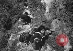 Image of Japanese civilians Okinawa Ryukyu Islands, 1945, second 51 stock footage video 65675042106