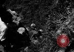 Image of Japanese civilians Okinawa Ryukyu Islands, 1945, second 53 stock footage video 65675042106