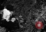 Image of Japanese civilians Okinawa Ryukyu Islands, 1945, second 54 stock footage video 65675042106