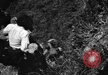 Image of Japanese civilians Okinawa Ryukyu Islands, 1945, second 55 stock footage video 65675042106