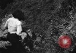 Image of Japanese civilians Okinawa Ryukyu Islands, 1945, second 57 stock footage video 65675042106