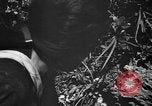 Image of Japanese civilians Okinawa Ryukyu Islands, 1945, second 61 stock footage video 65675042106