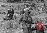 Image of Japanese civilians Okinawa Ryukyu Islands, 1945, second 46 stock footage video 65675042109