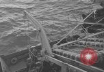 Standbild Landungsboote Tanks Okinawa Ryukyu Inseln, 1945, aus Sekunde 21 historischem Filmmaterial Videoclip 65675042110