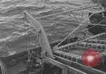 Standbild Landungsboote Tanks Okinawa Ryukyu Inseln, 1945, aus Sekunde 23 historischem Filmmaterial Videoclip 65675042110