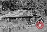 Image of American soldiers Okinawa Ryukyu Islands, 1945, second 11 stock footage video 65675042111
