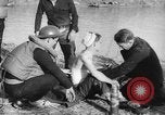 Image of United States ship Pannay China, 1937, second 19 stock footage video 65675042114