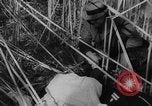 Image of United States ship Pannay China, 1937, second 43 stock footage video 65675042114