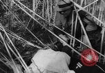 Image of United States ship Pannay China, 1937, second 44 stock footage video 65675042114