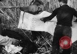 Image of United States ship Pannay China, 1937, second 46 stock footage video 65675042114